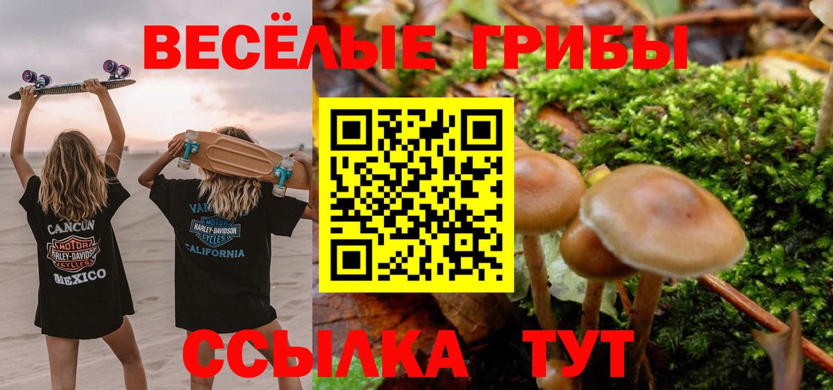 Галлюциногенные грибы Cubensis Ликино-Дулёво